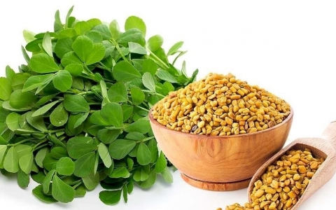 CƠ CHẾ SẢN PHẨM FAMILK