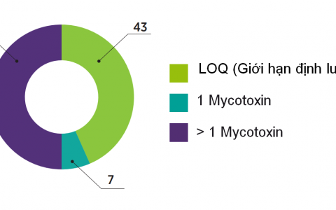 KHẢO SÁT VỀ ĐỘC TỐ NẤM MỐC TRONG THỨC ĂN CHĂN NUÔI VÀ MẪU NGÔ TỪ VIỆT NAM