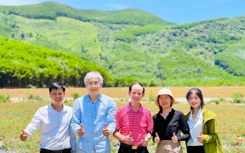 CHUYẾN THĂM VÙNG TRỒNG SÂM BÁO TẠI THANH HÓA