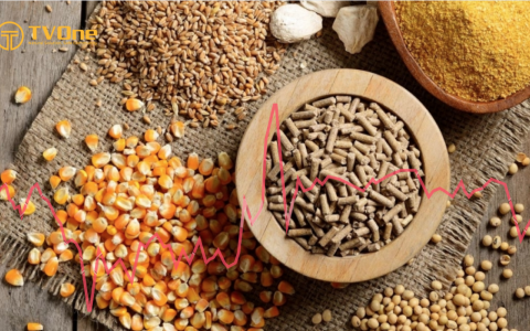 Doanh nghiệp thức ăn chăn nuôi trong bối cảnh giá nguyên liệu nhiều biến động