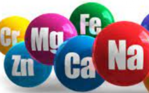 NHỮNG VẪN ĐỀ GẶP PHẢI ĐỐI VỚI HEO NÁI TRONG GIAI ĐOẠN NUÔI CON