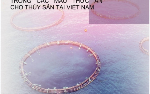 TVONE VIỆT NAM THAM DỰ ILDEX 2022 - MANG TẦM VÓC VIỆT TỚI BẠN BÈ QUỐC TẾ