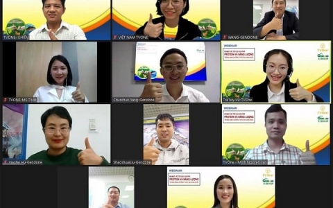 Tối ưu chi phí protein và năng lượng trong dinh dưỡng thức ăn chăn nuôi