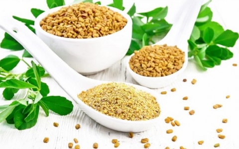 Có Cà Ri (Fenugreek) có thật sự tốt?