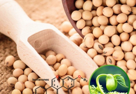 Những công dụng bất ngờ của Isoflavones đậu nành