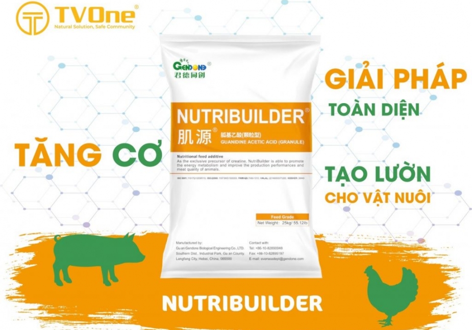 Ứng dụng của Nutribuilder với gia súc, gia cầm