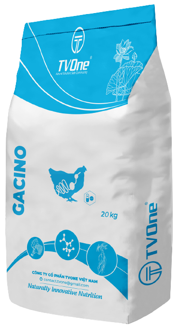 GACINO - Phụ gia giúp kiểm soát bệnh viêm ruột hoại tử trên heo và gia cầm