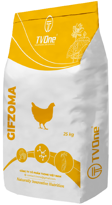 GIFZOMA - Phụ gia giúp tăng chất lượng vỏ trứng, kéo dài thời gian đẻ trứng