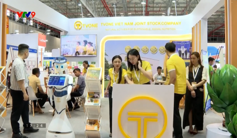 TVONE Trên VTV9 – Thương Hiệu Việt Tiên Phong Giải Pháp Phytogenics Cho Chăn Nuôi Bền Vững