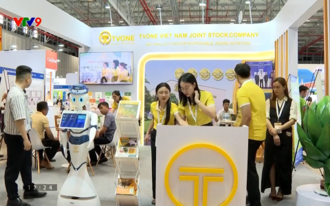 TVONE Trên VTV9 – Thương Hiệu Việt Tiên Phong Giải Pháp Phytogenics Cho Chăn Nuôi Bền Vững