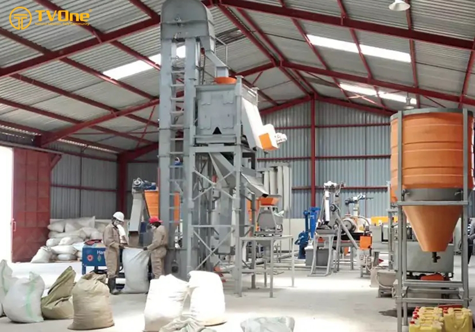 4 lưu ý trong sản xuất thức ăn chăn nuôi để tối ưu năng suất và lợi nhuận cho trang trại