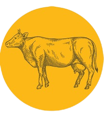 Feed supplementing for beef  castle