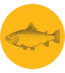 Feed supplements for Aquatic feed