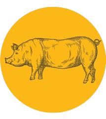 Feed supplements for pigs