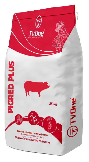 PIGRED PLUS